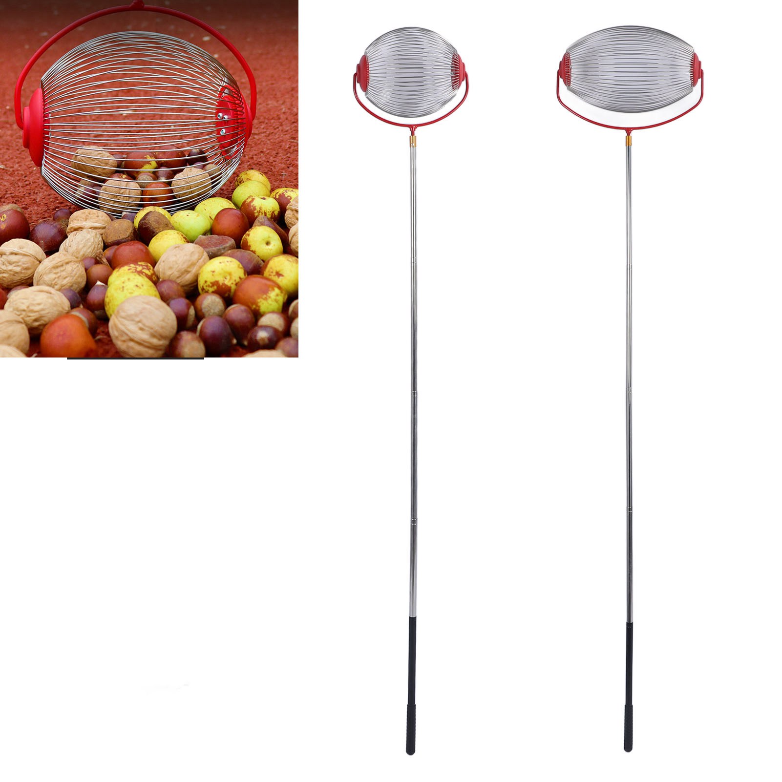 Gardening Tools Australia - Acorn Picker rullo superiore multifunzione Rolling