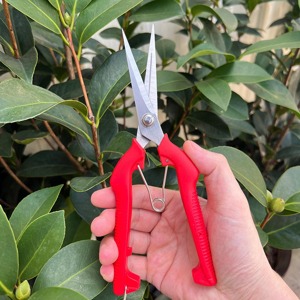 Gardening Tools Vegetables - Forbici da Potatura Professionali per Giardino,