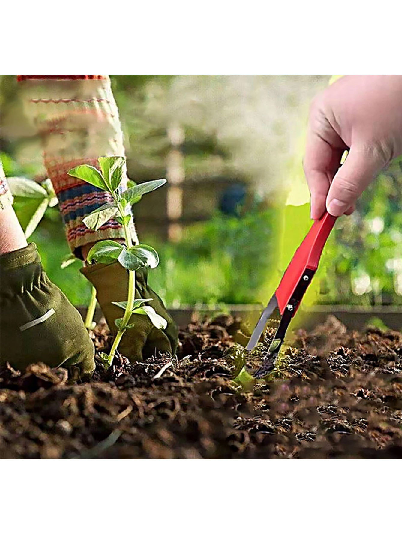 Diserbatore Manuale in Plastic - Weed Puller recensione e prezzo