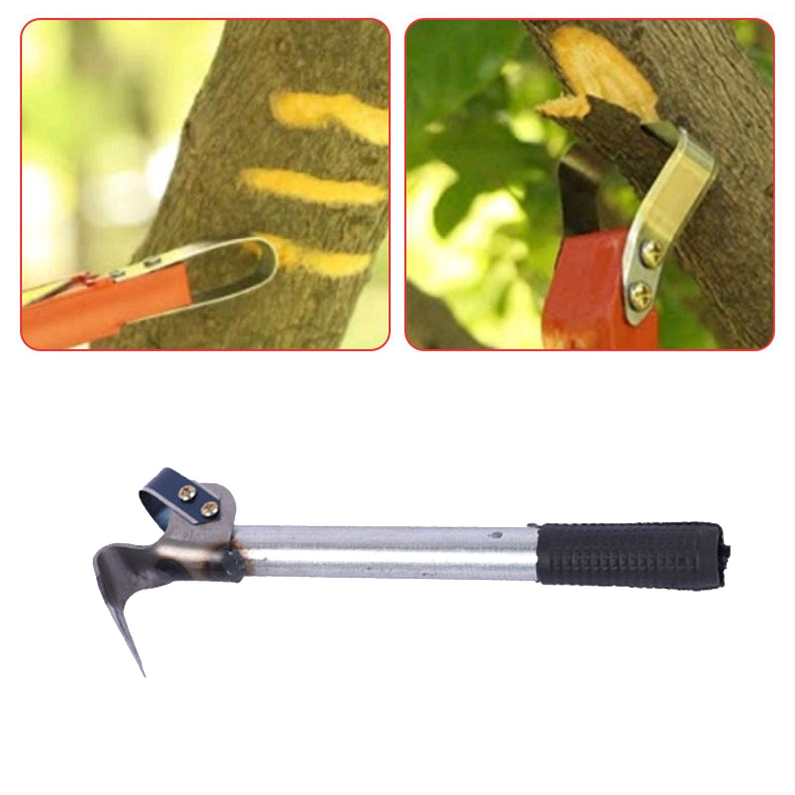 Strumento per la rimozione del - Gardening Tools Drawing recensione e prezzo