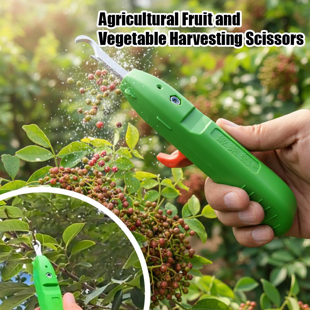 Forbici per la Raccolta di Fru - Gardening Tools Vegetables recensione e prezzo