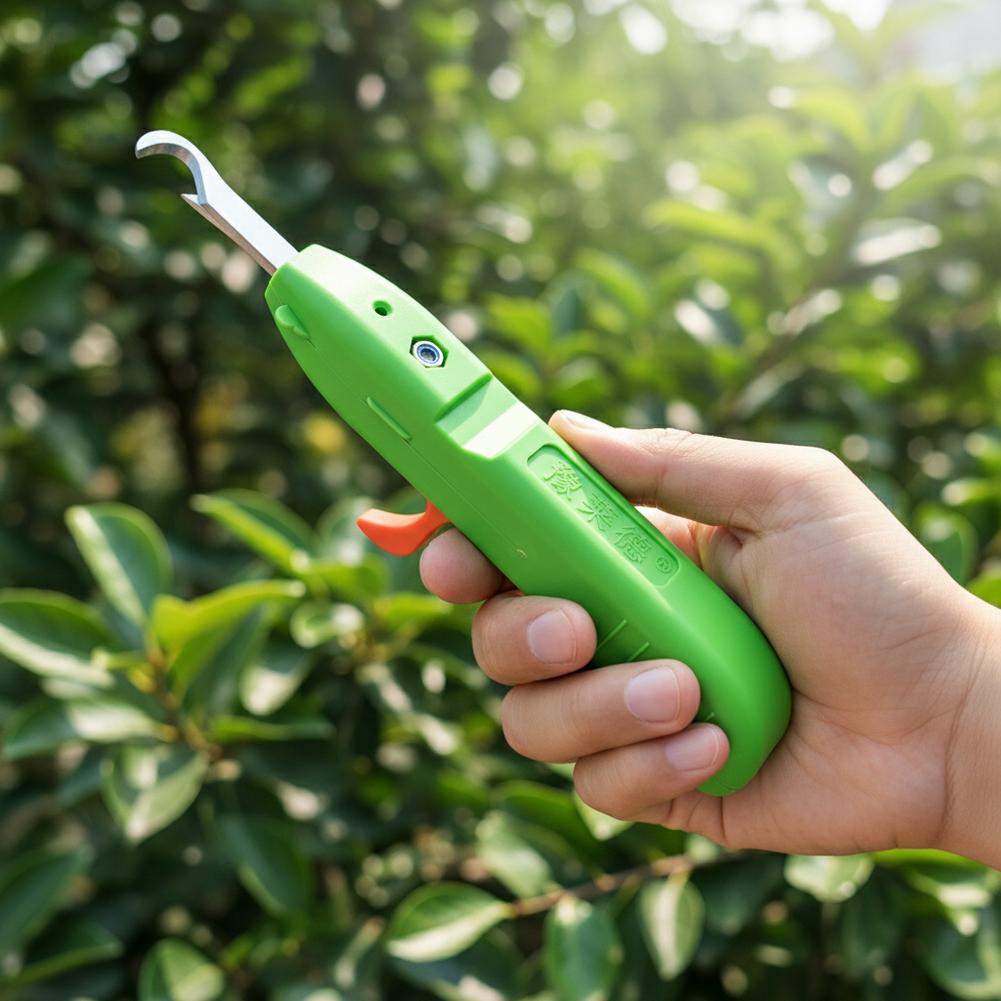 Forbici per la Raccolta di Fru - Gardening Tools Vegetables recensione e prezzo