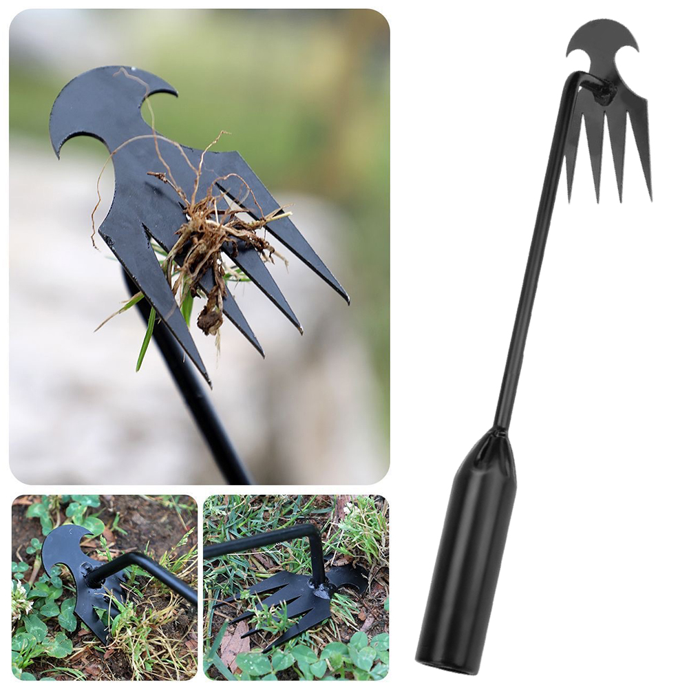 Attrezzo per zappa da giardino - Weed Puller recensione e prezzo