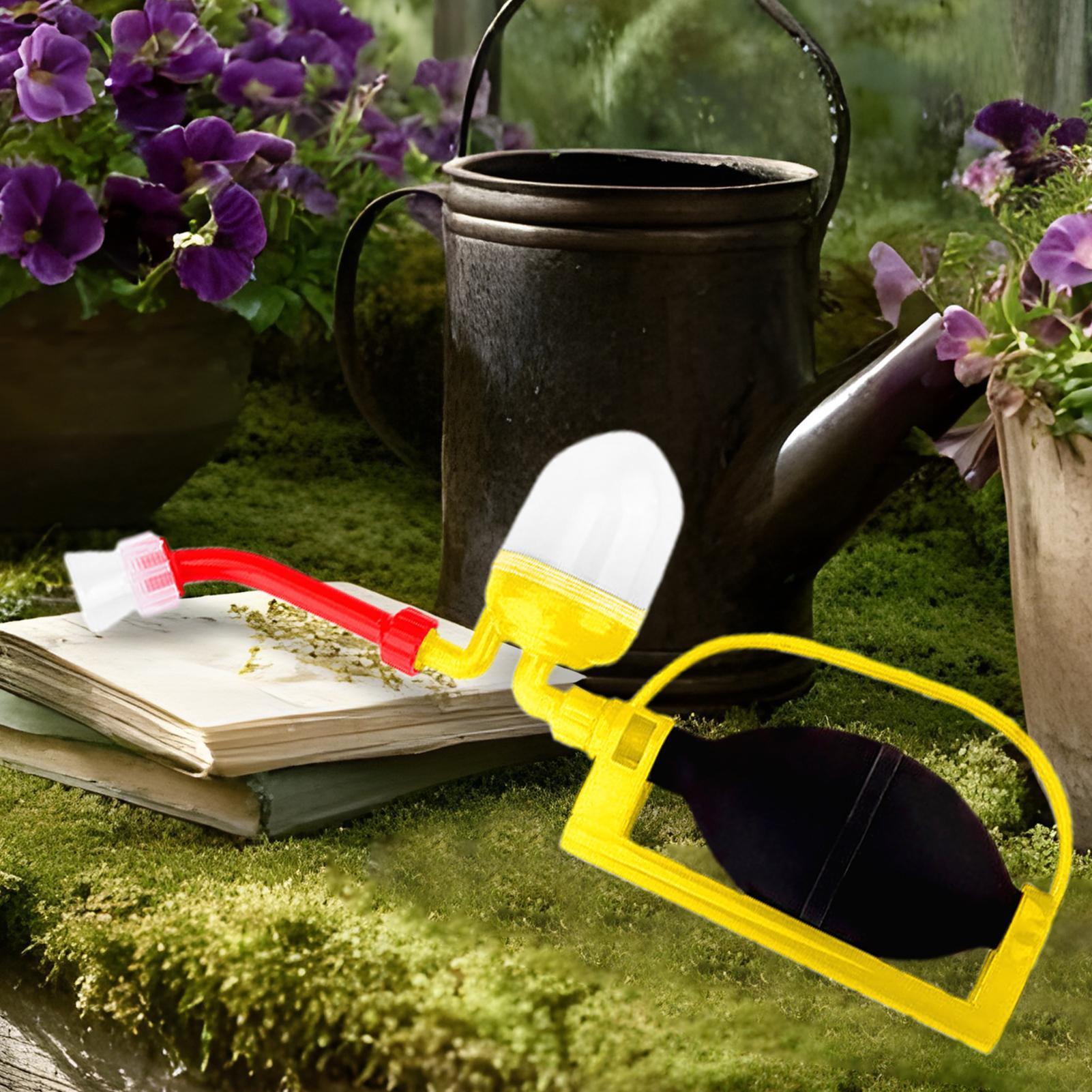 Strumento di pollinazione manu - Gardening Tools Vegetables recensione e prezzo