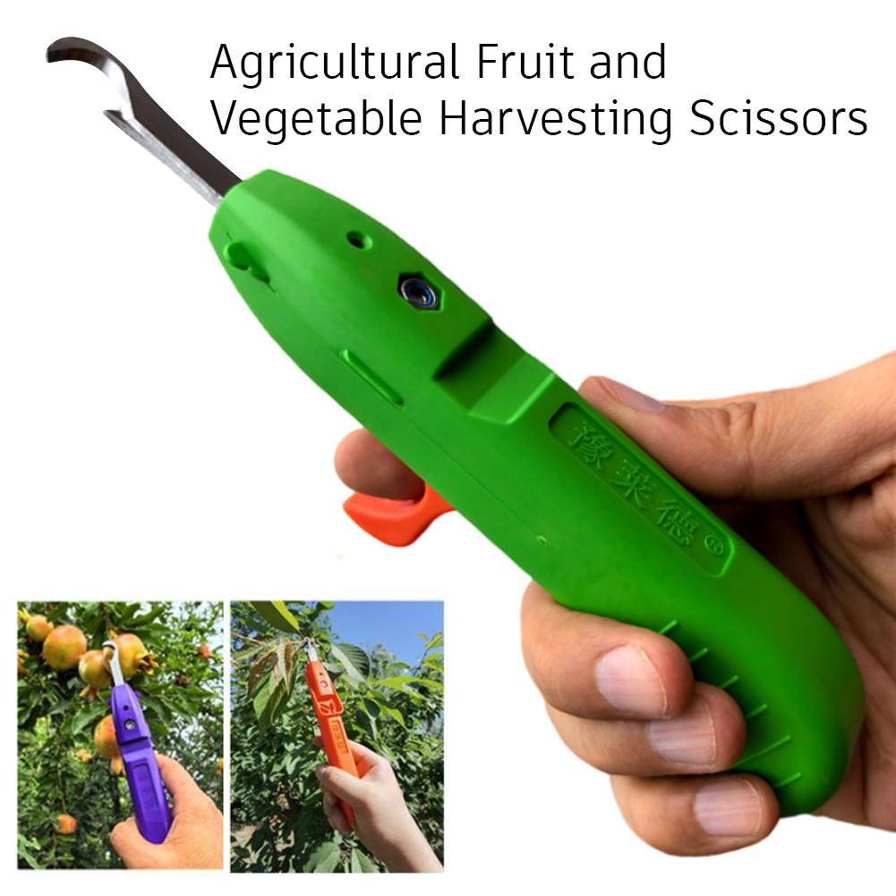 Attrezzo Portatile Multifunzio - Gardening Tools Vegetables recensione e prezzo