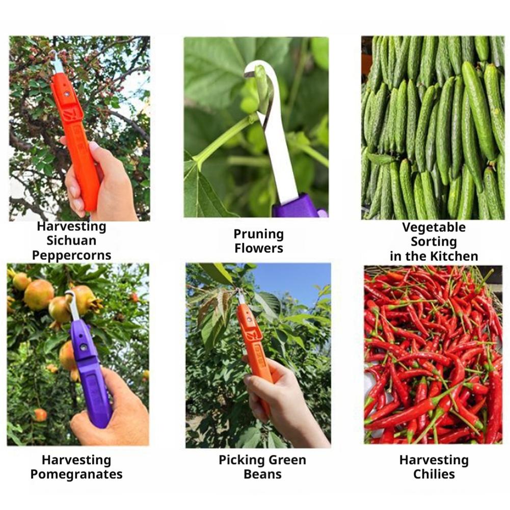 Attrezzo Portatile Multifunzio - Gardening Tools Vegetables recensione e prezzo