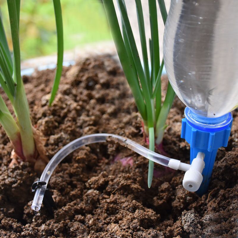Sistema automatico di irrigazi - Root Watering Spike recensione e prezzo