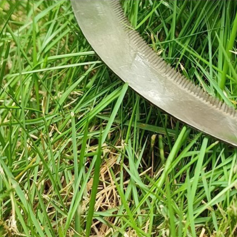Falcetto in Acciaio Inossidabi - Gardening Tools Australia recensione e prezzo