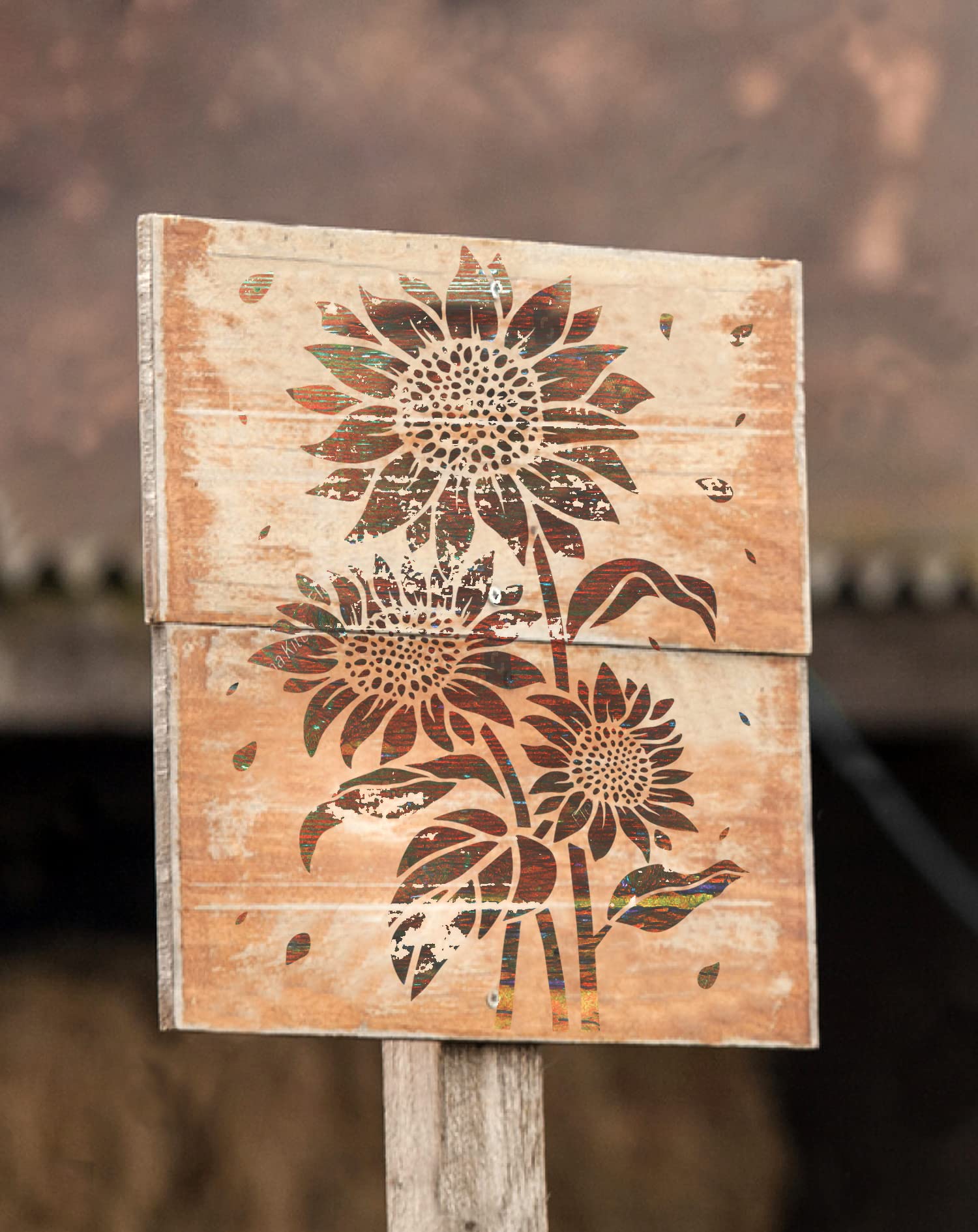 Modello di pittura di girasole - Gardening Tools Sketch recensione e prezzo