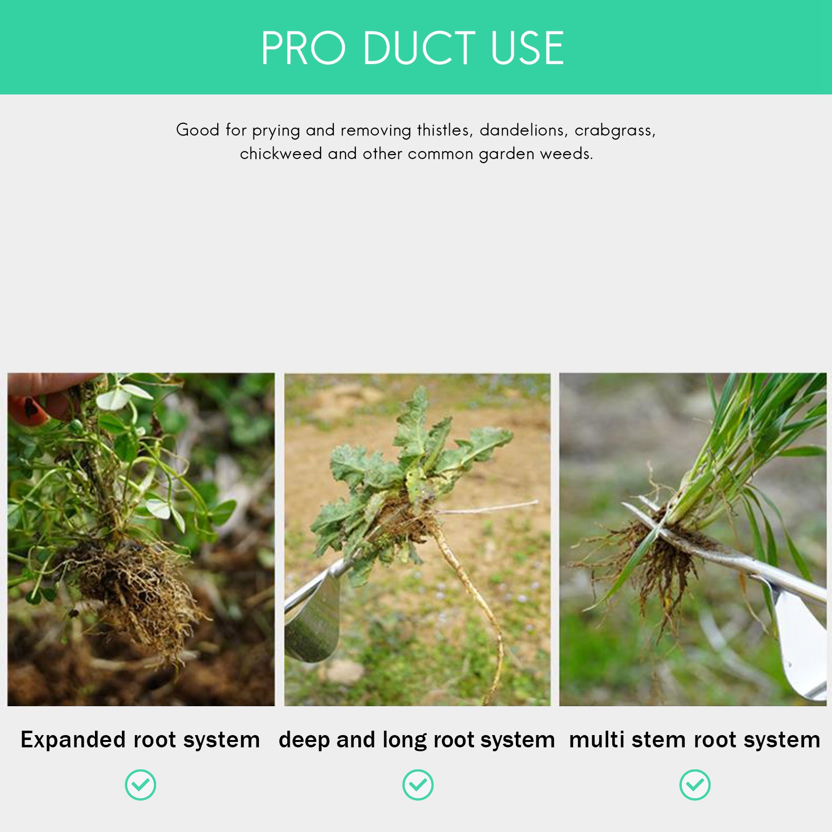 ABGE - Diserbante da Giardino  - Weed Puller recensione e prezzo