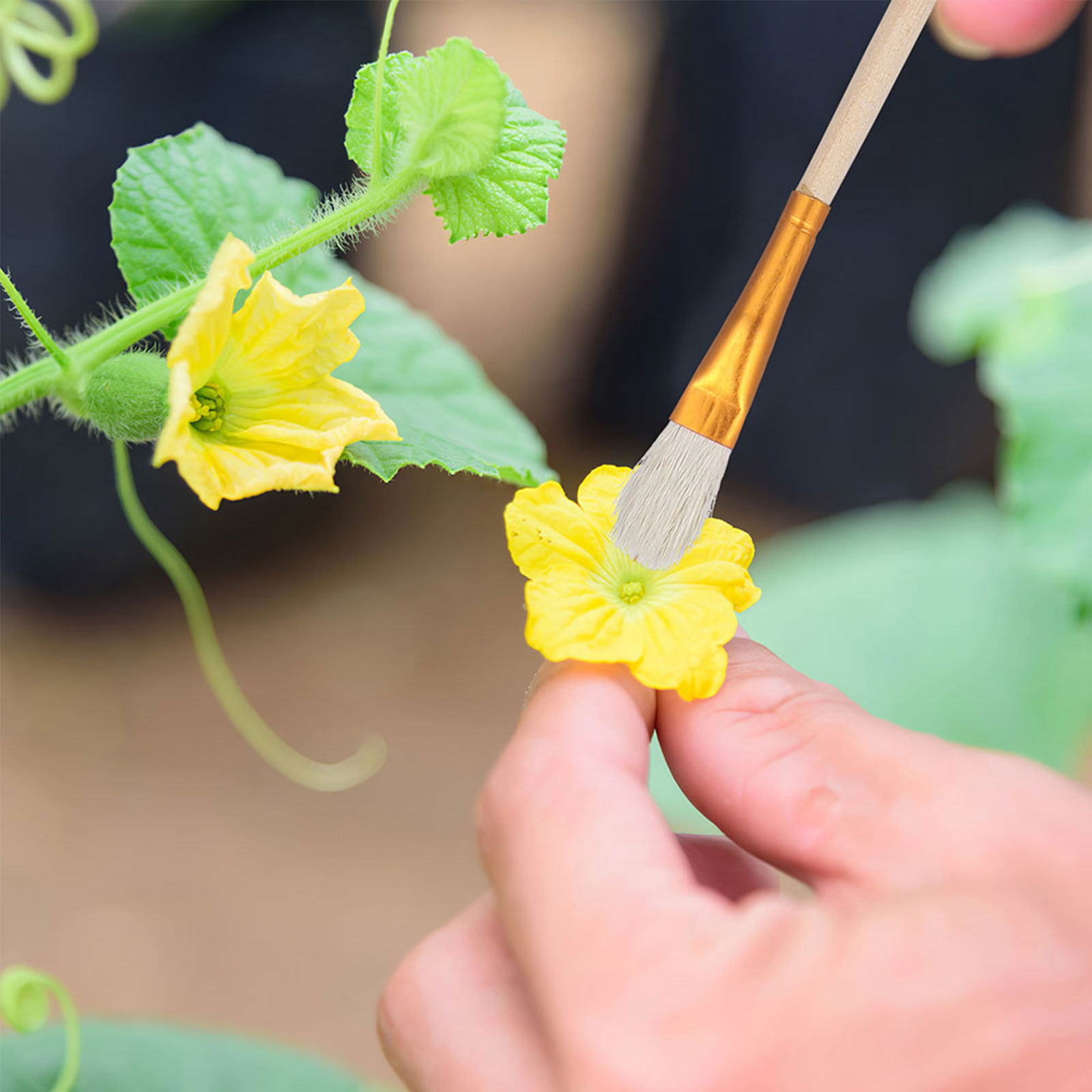 Kit di 16 Pennelli per Impolli - Gardening Tools Vegetables recensione e prezzo
