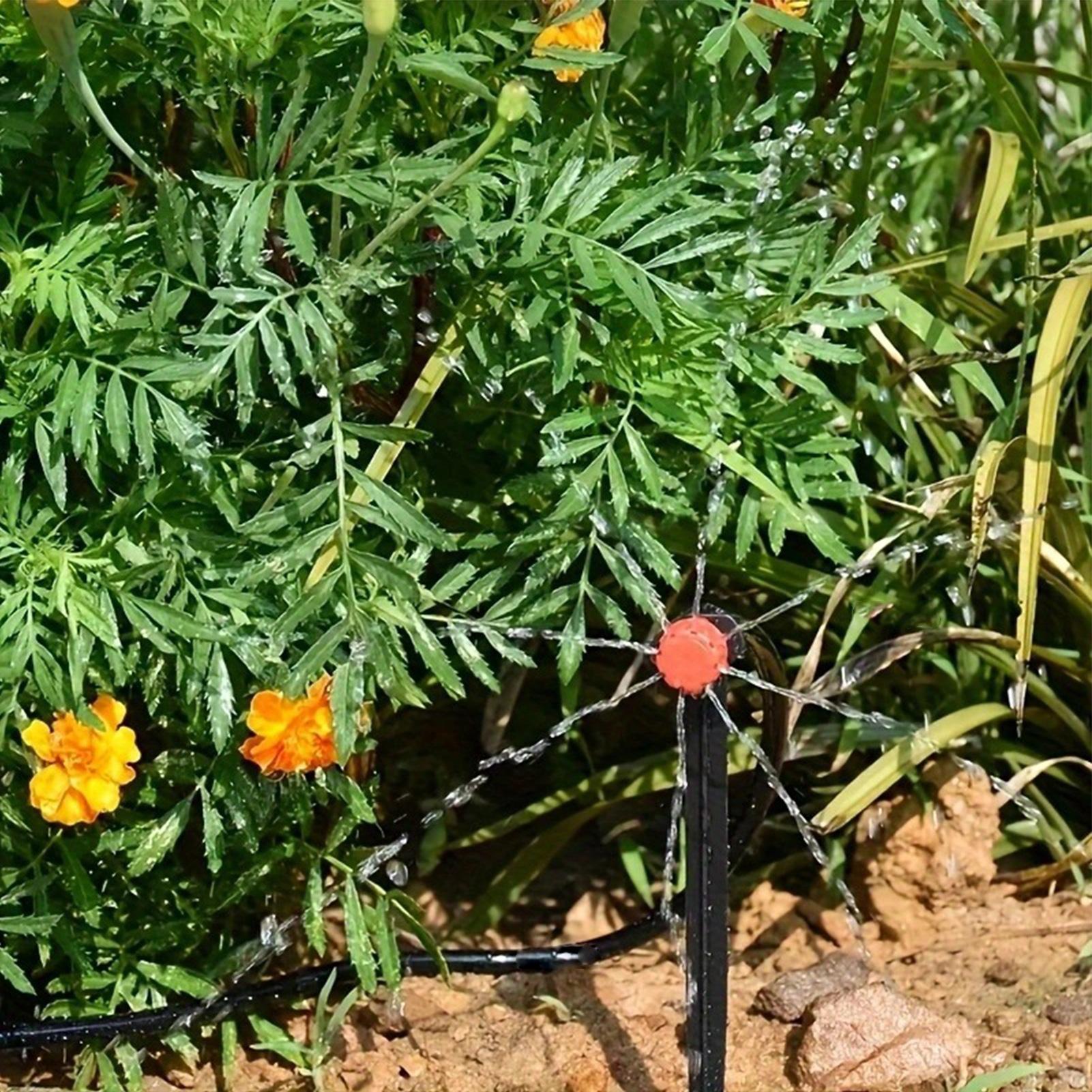 Sistema di irrigazione per gia - Drip Irrigation Kit recensione e prezzo