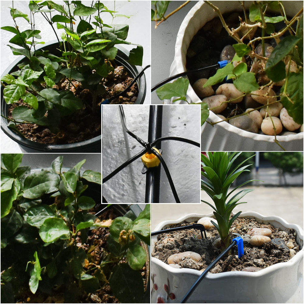 Set di irrigazione a goccia co - Root Watering Spike recensione e prezzo