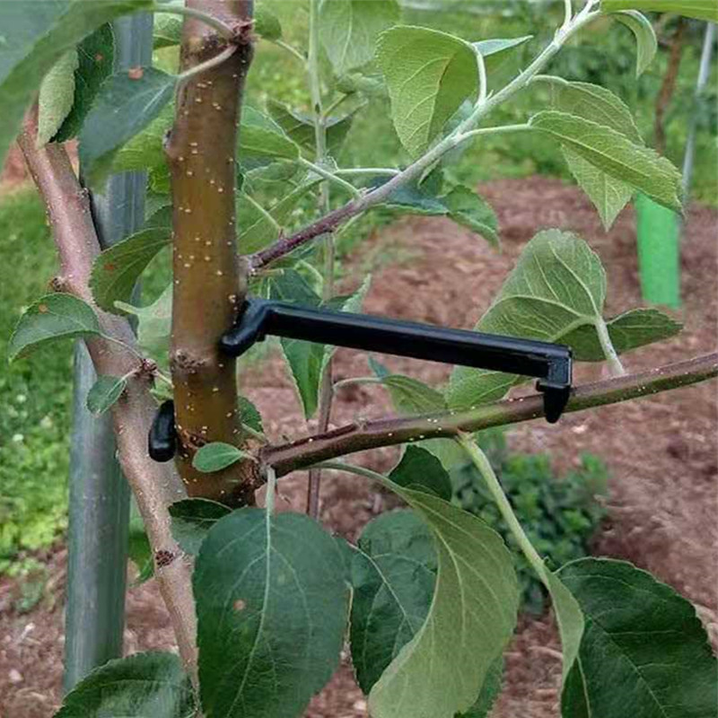 Estrattore per rami di alberi  - Root Watering Spike recensione e prezzo