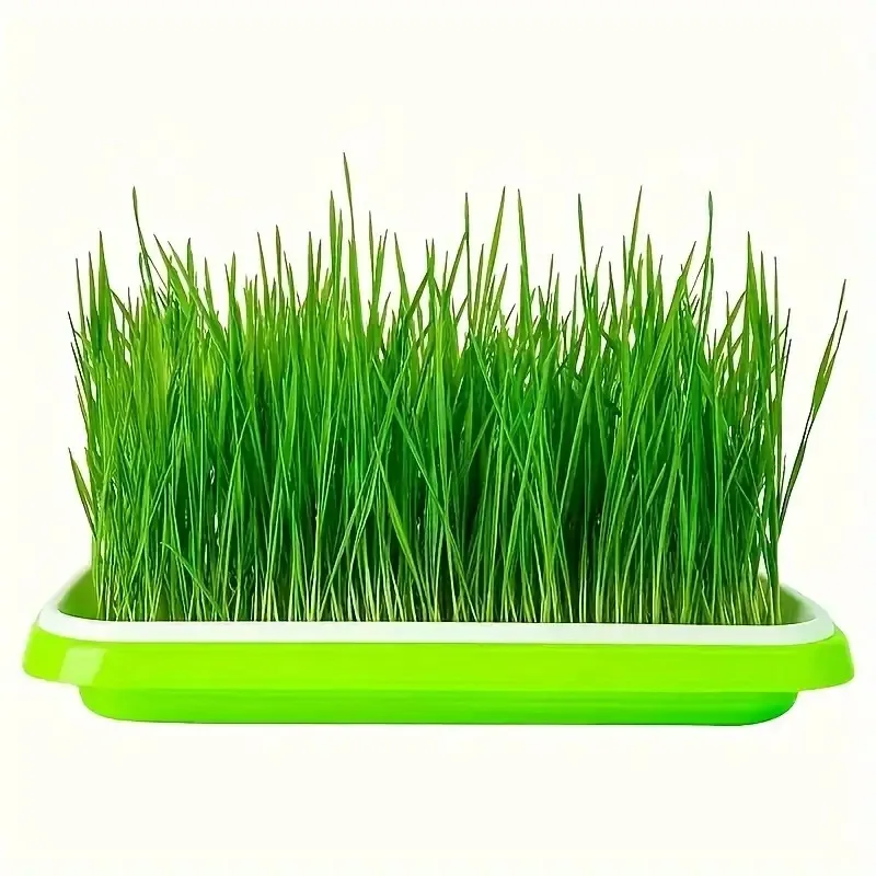 Ultimi Modelli di Vassoi per S - Gardening Tools Vegetables recensione e prezzo