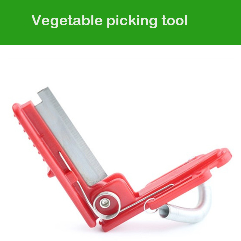 Separatore di coltelli Strumen - Gardening Tools Youtube recensione e prezzo
