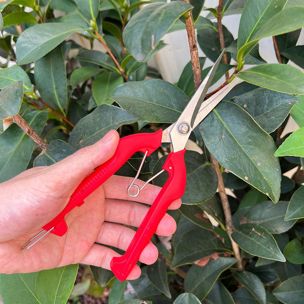 Forbici da Potatura Profession - Gardening Tools Vegetables recensione e prezzo