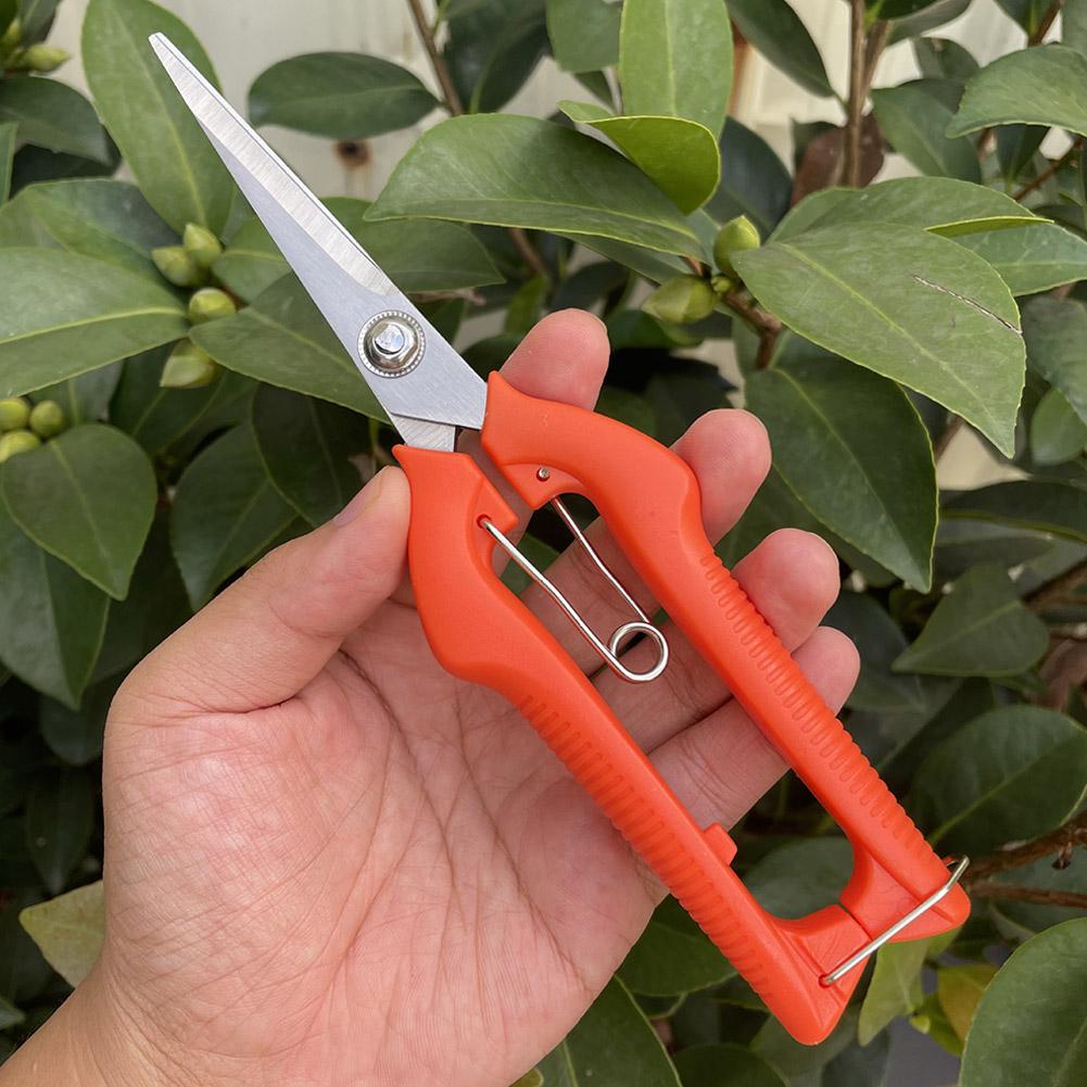 Forbici da Potatura Profession - Gardening Tools Vegetables recensione e prezzo