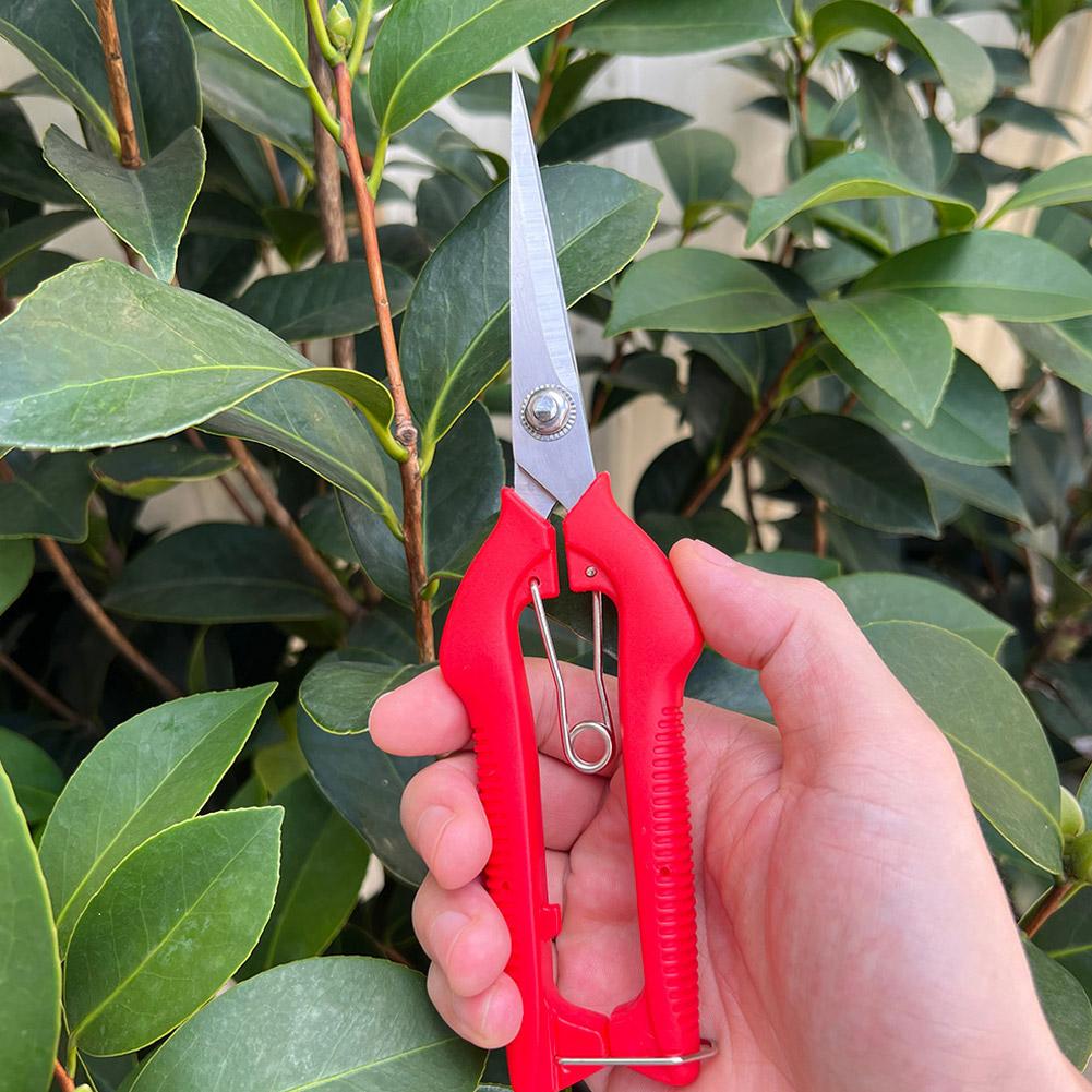 Forbici da Potatura Profession - Gardening Tools Vegetables recensione e prezzo