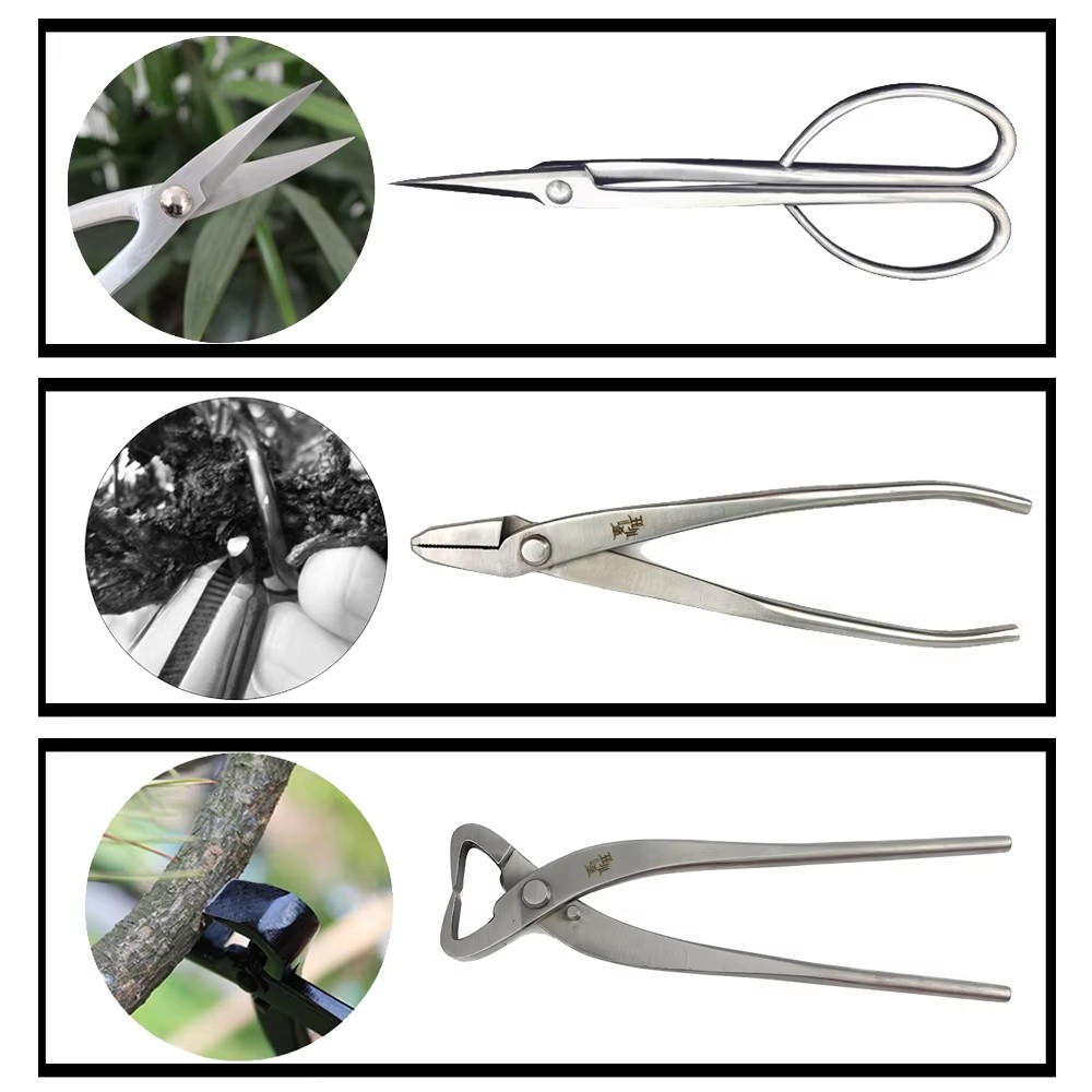 Set di Attrezzi Premium per Bo - Gardening Tools Australia recensione e prezzo
