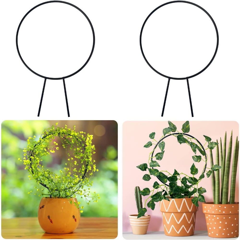 1Pc Supporto per piante Suppor - Gardening Tools Australia recensione e prezzo