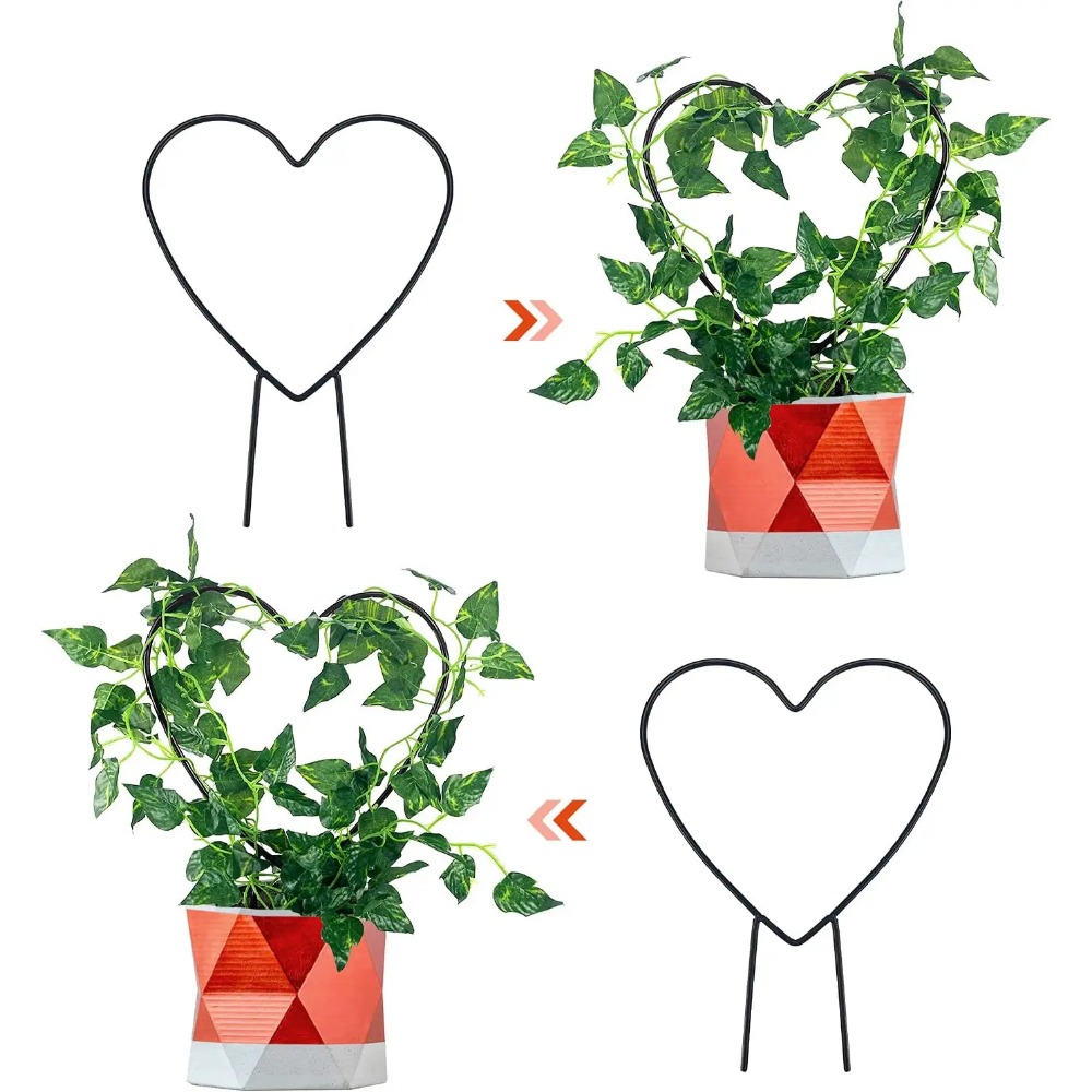 1Pc Supporto per piante Suppor - Gardening Tools Australia recensione e prezzo
