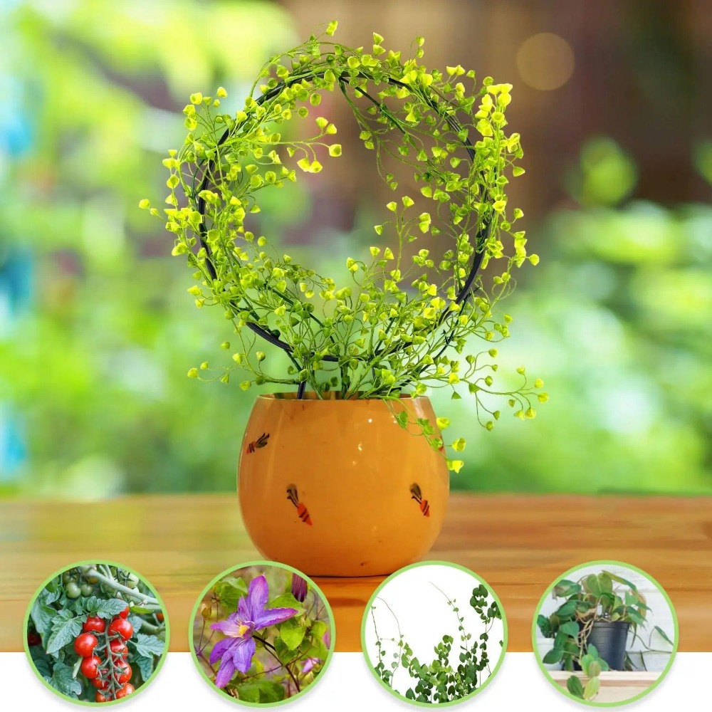 1Pc Supporto per piante Suppor - Gardening Tools Australia recensione e prezzo