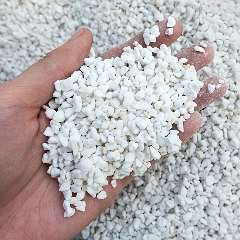 1 Confezione di Perlite Ortico - Gardening Tools Brands recensione e prezzo