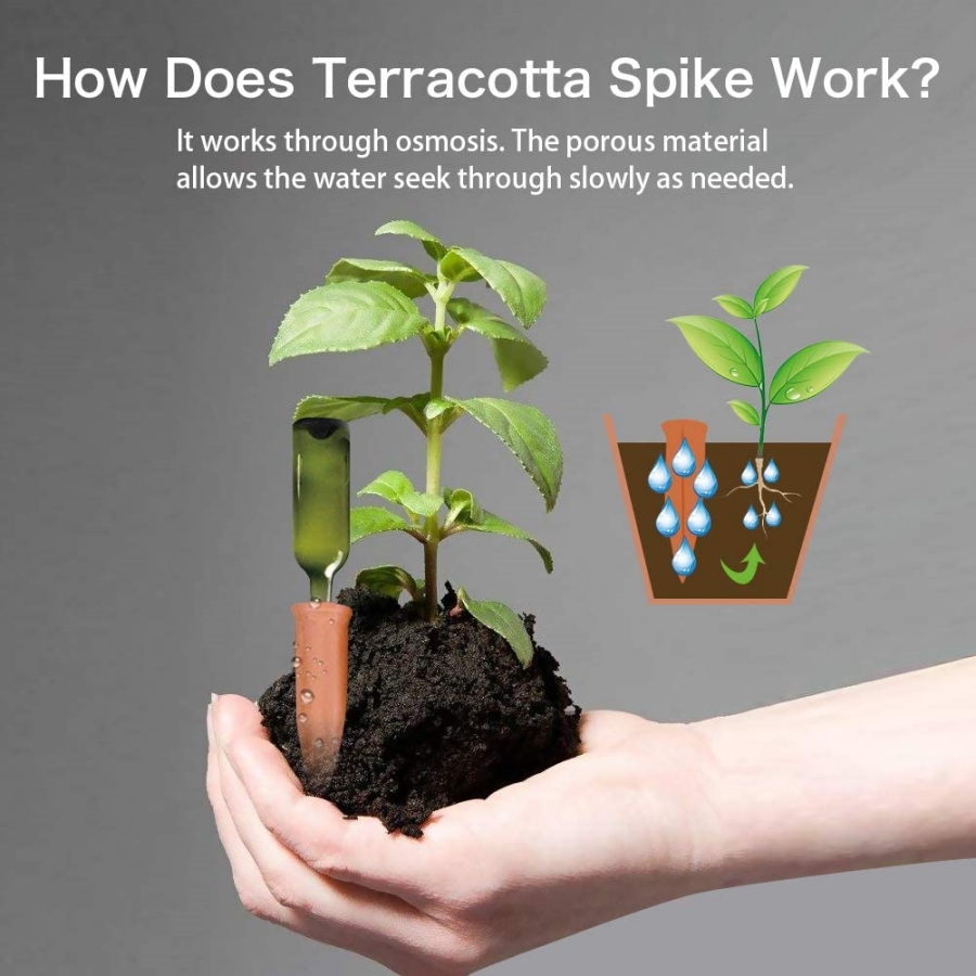 8 punte di terracotta con irri - Root Watering Spike recensione e prezzo