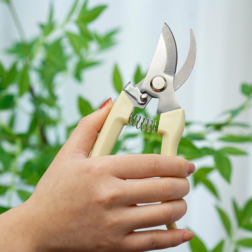 Forbici da Giardino per Piante - Gardening Tools Australia recensione e prezzo