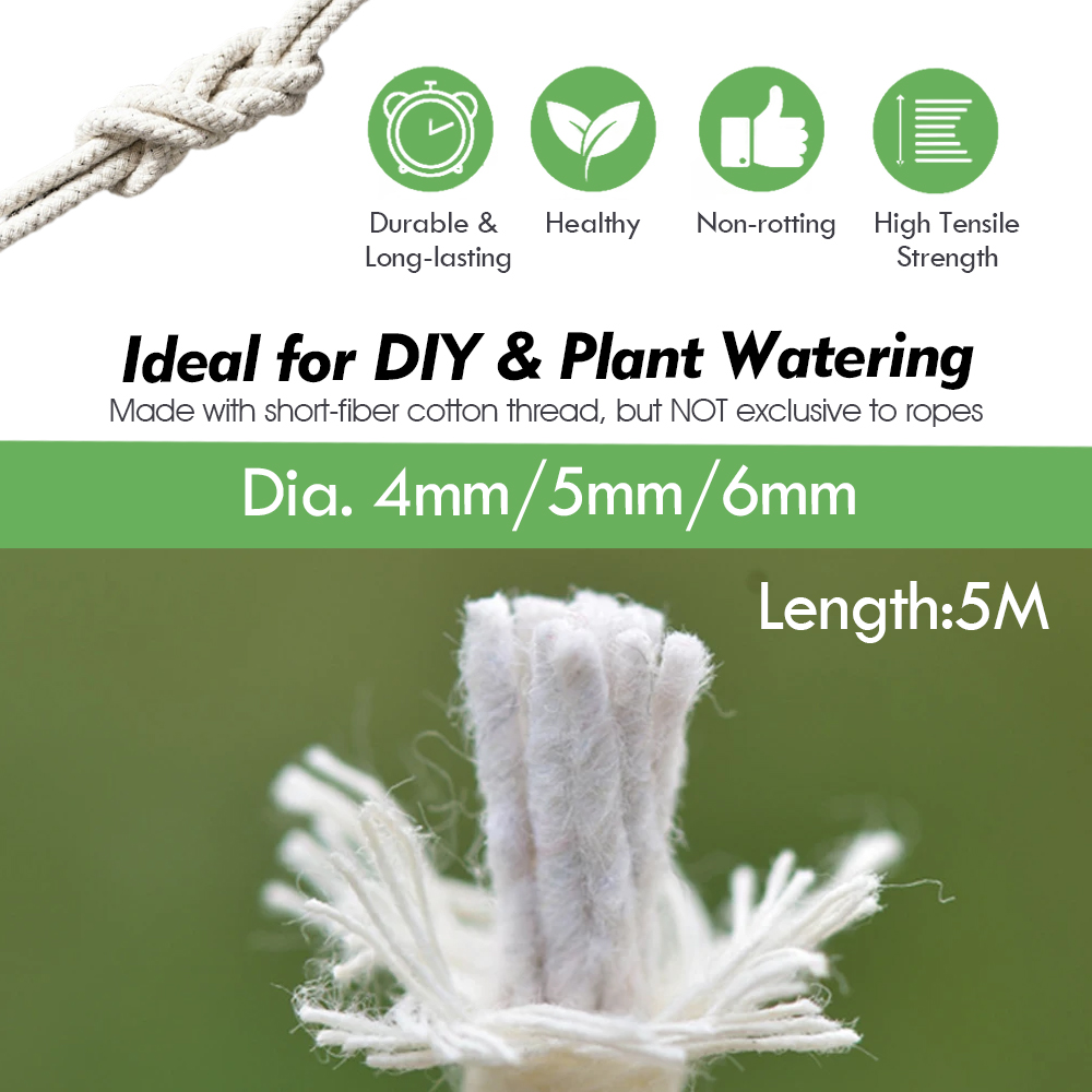 4/5/6mm autoirrigante cotone s - Root Watering Spike recensione e prezzo